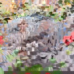 Peni Alpionita profile icon