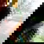 WhaWha14 profile icon