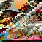 Tik Kannika Boonmalee profile icon