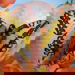 Sofear Sasina profile icon