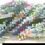 Nipaporn profile icon