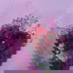 fina anggraedah profile icon