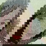 Wanti Mailoa profile icon