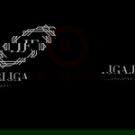 Iga Erliga profile icon