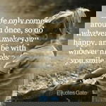 Vhan Yza profile icon