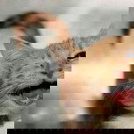 Cee Zhee profile icon