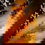 vita stacia profile icon