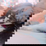 Sureeporn Palakavans Na Ayudhya profile icon