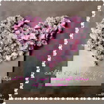 renesia Putri profile icon