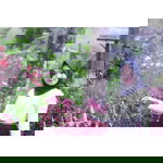 FujiRahayu profile icon