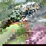 Tatri Fajar Afinda profile icon