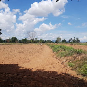 โสภิดา สร้อยคำ profile icon