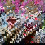 Yusniki profile icon