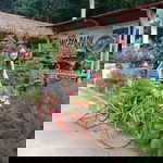 Lhorilie DestOra OCbina Ng profile icon