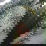 Rosalina Putri profile icon