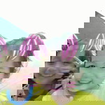 Indri Juliwantika profile icon