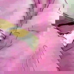 Tri Sukesih profile icon