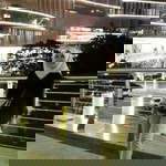 Dhersi Maya Sari profile icon