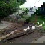 Isti Ramadhani profile icon