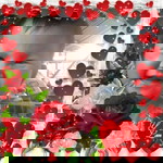 อมรรัตน์ โภควัชน์ profile icon