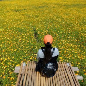 เจนจิรา เกตุแก้ว profile icon