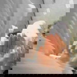 Neng D'joem profile icon