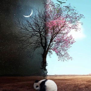 Nuraeni profile icon