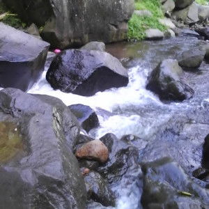 Rina Nur Ariefiyah profile icon