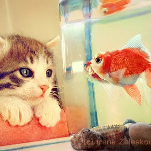 STIK- Popon29 profile icon