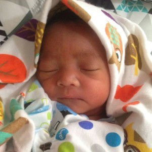 PiTto Meoong profile icon