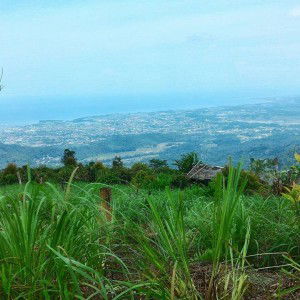 Icha Icha profile icon