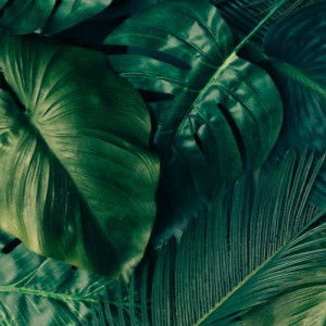 Ummu Abdullah Kautsar profile icon