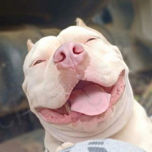 Chloe Chloe profile icon