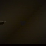 Ann-Am Dee profile icon