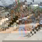 หมวย ซ่า profile icon