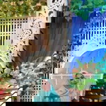 Fanytian profile icon