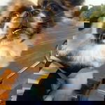 Phimmy Panadda profile icon