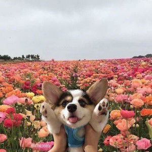 Preeyapron Suwanngam profile icon