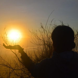 angelina dwi profile icon