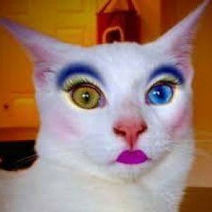 Coco Nut Music profile icon