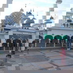 Lizha Herman profile icon