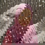 Nisreen profile icon