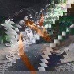 Chaniporn Jatsuwxn profile icon