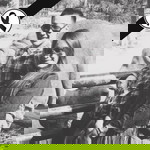 Korn Ong profile icon