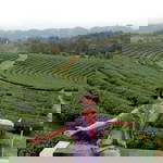 Nuttatida Rumpoeiphol profile icon