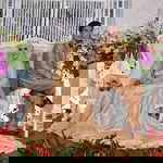 Venna Febiana profile icon