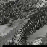 fitree walek profile icon