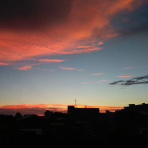 fitriani amir profile icon