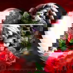 Gerry Pandini profile icon