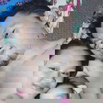 Mary Jane Pabon Jose profile icon